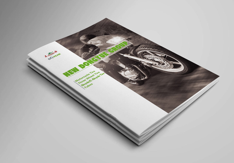新東岳集團(tuán)畫冊(cè)設(shè)計(jì)