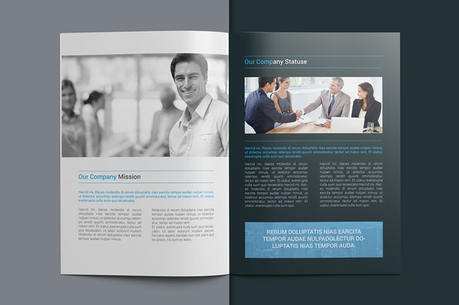 商務畫冊設計欣賞