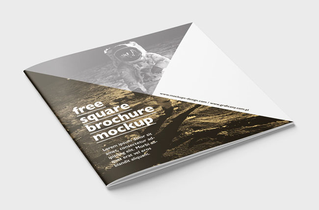 2017畫冊設(shè)計(jì)欣賞