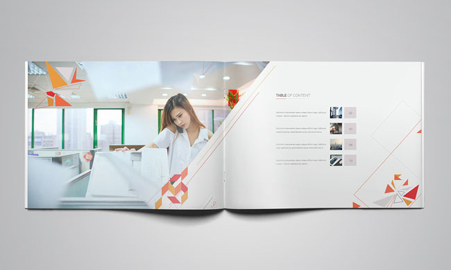 企業畫冊設計欣賞