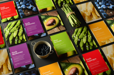 畫冊設計師及品牌設計師應該如何不斷提升自己