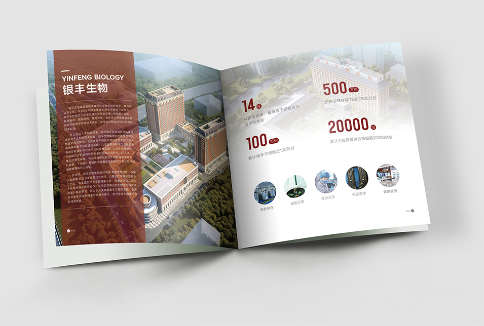 銀豐生物集團企業畫冊設計