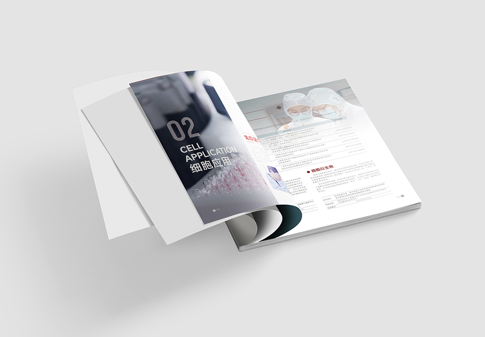 銀豐生物集團企業畫冊設計