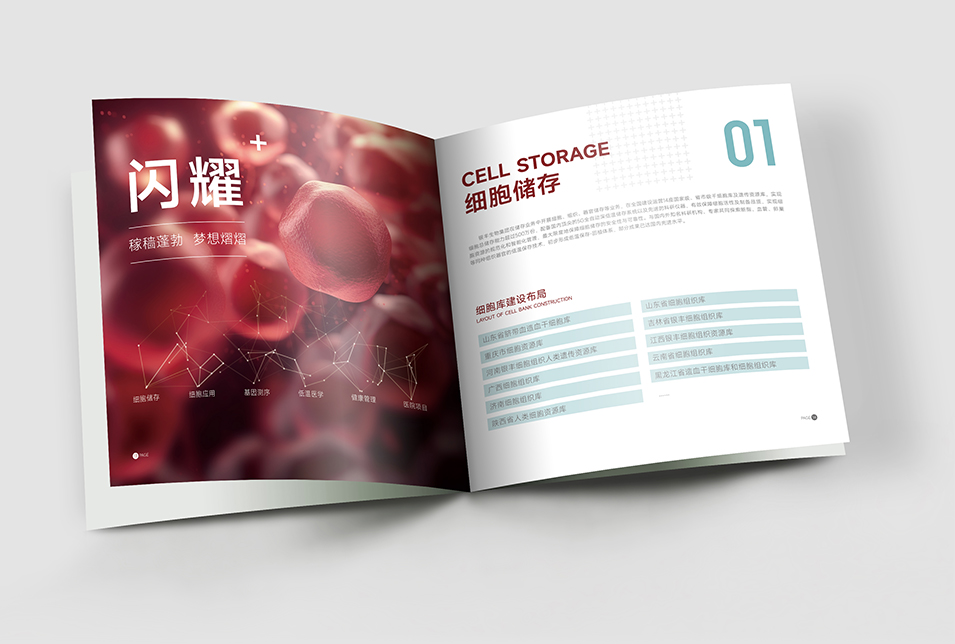 銀豐生物集團企業畫冊設計