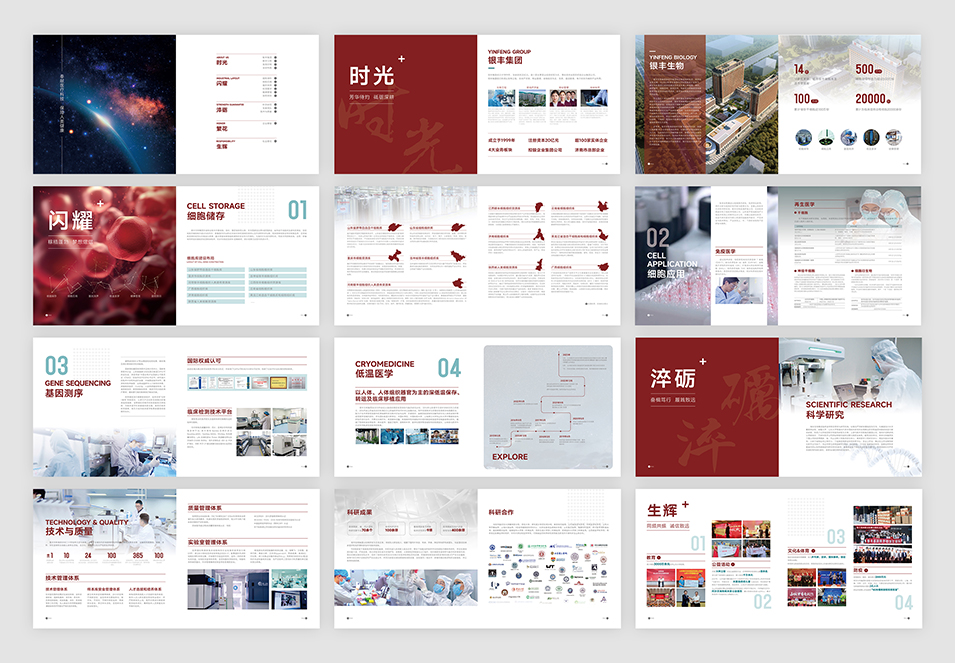 銀豐生物集團企業畫冊設計