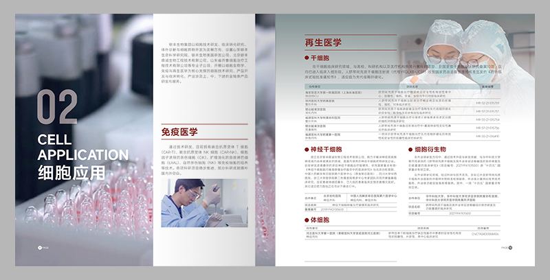 畫冊結構視覺雙開掛