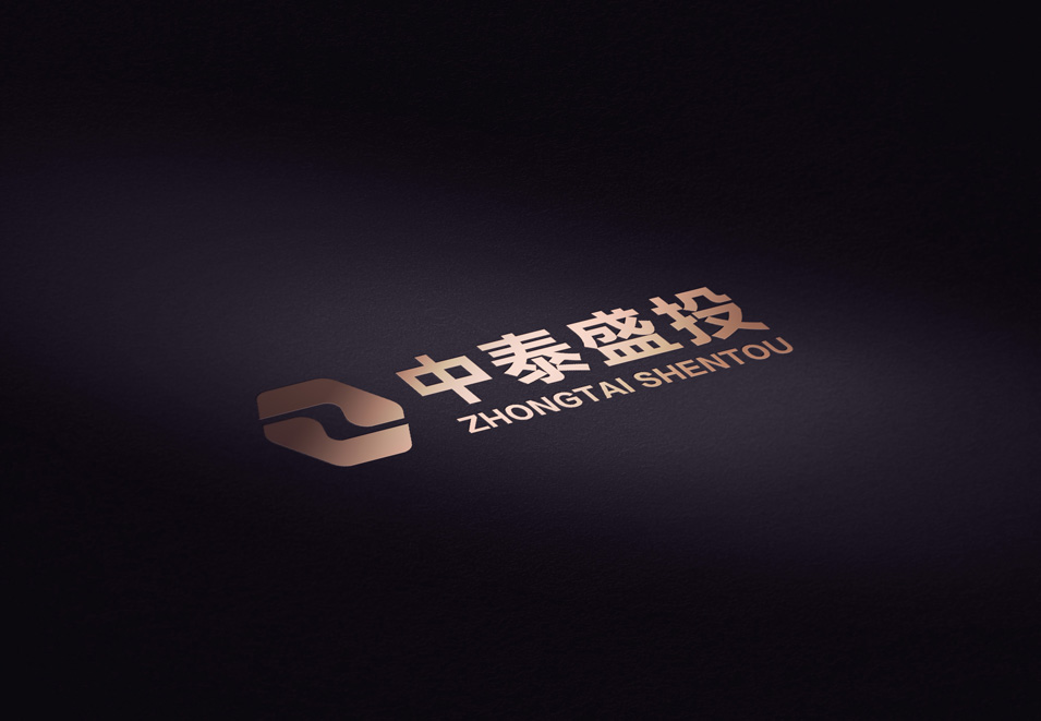 中泰盛投logo設計