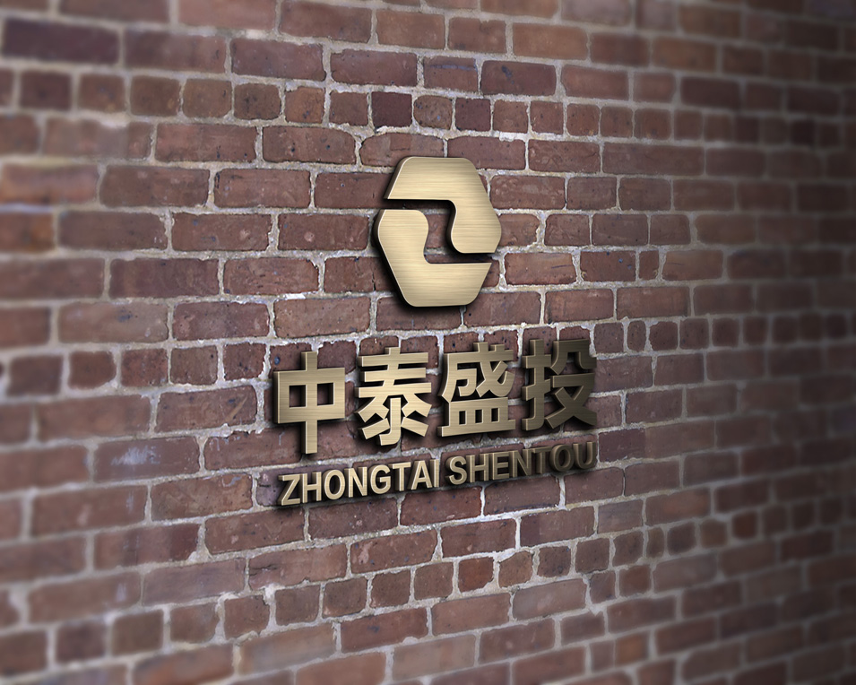 中泰盛投logo設計