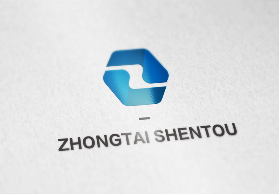 中泰盛投logo設計